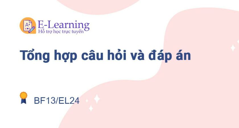 Câu hỏi và đáp án môn BF13/EL24 EHOU