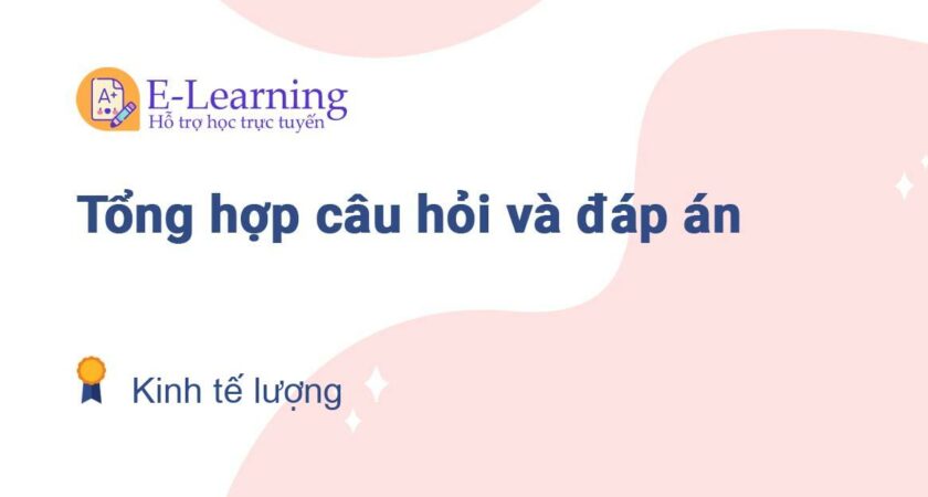 Câu hỏi và đáp án môn Kinh tế lượng EHOU