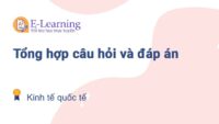 Câu hỏi và đáp án môn Kinh tế quốc tế EHOU