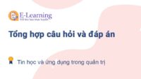 Câu hỏi và đáp án môn Tin học và ứng dụng trong quản trị EHOU